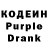 Codein Purple Drank Ale 0712