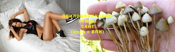 ешки Слюдянка