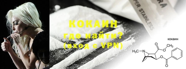 шишки Сосновка